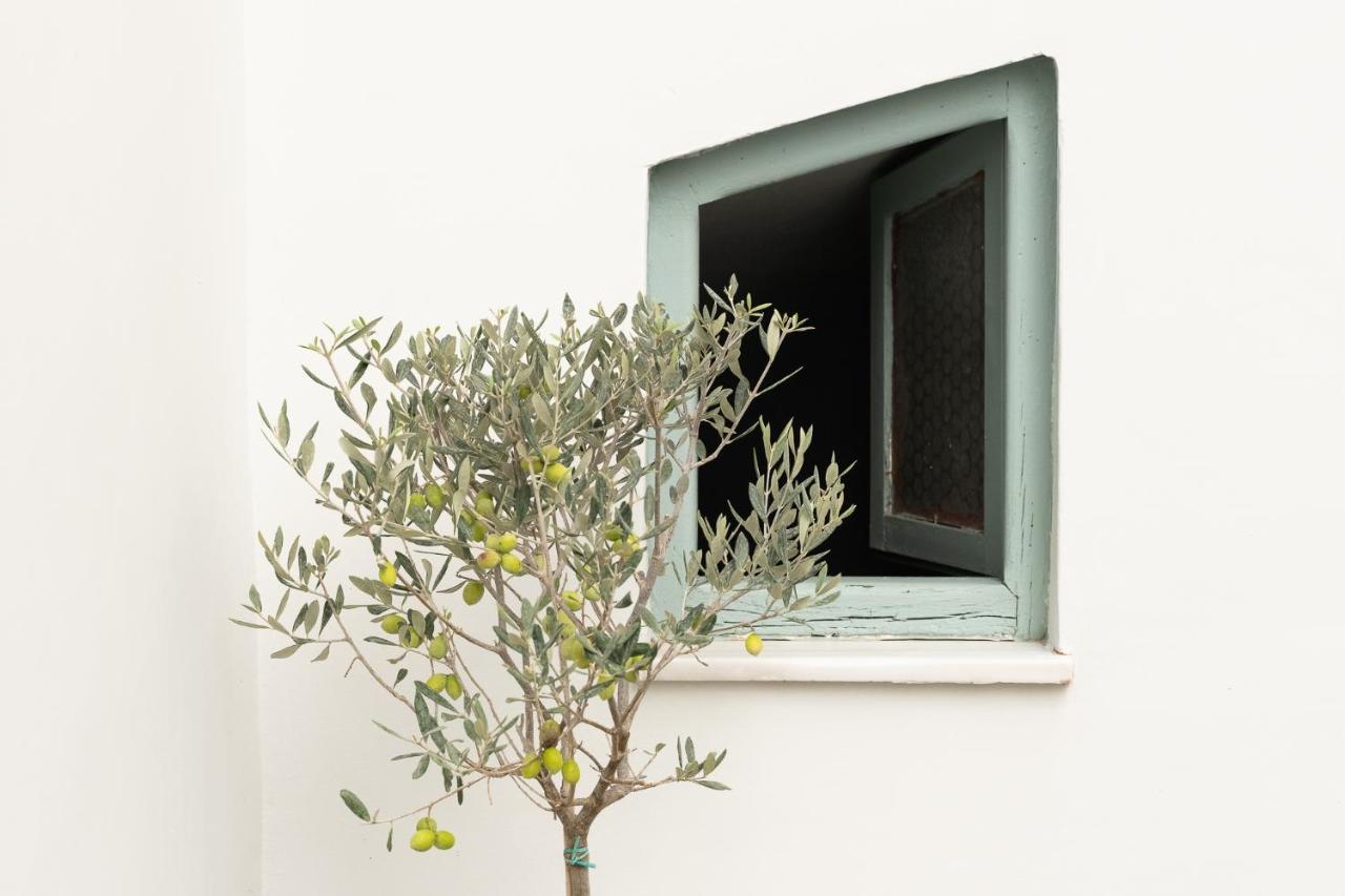 Central5 Boutique Apartments With Common Garden Next To Metro Athènes Extérieur photo